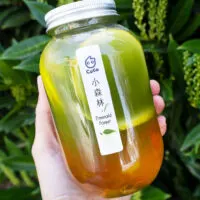 CoCo Emerald Forest featuring green tea, lemon, barley leaf