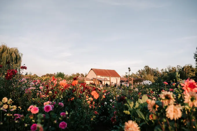Sage & Solace Farm