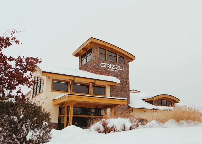 Grizzli Christmas Market raises funds for paws it forward dog rescue