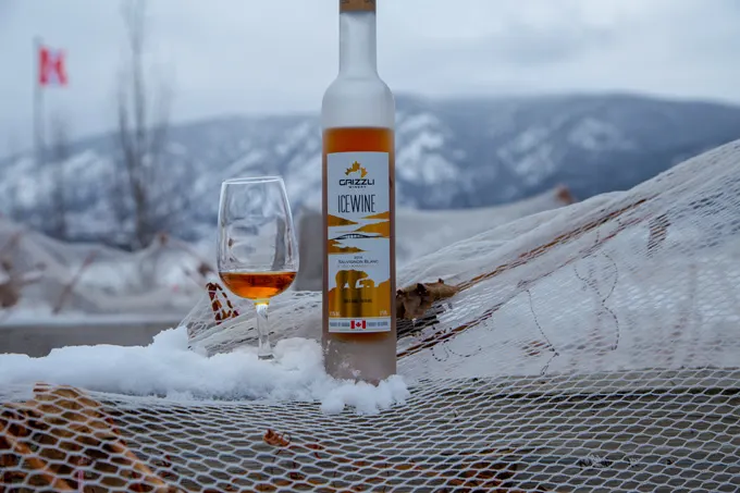 Winter in Wine Country Icewine Experience