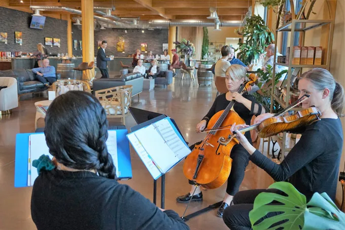 Kitchen Sink Pocket Orchestra Plays At Local Winery Art Show