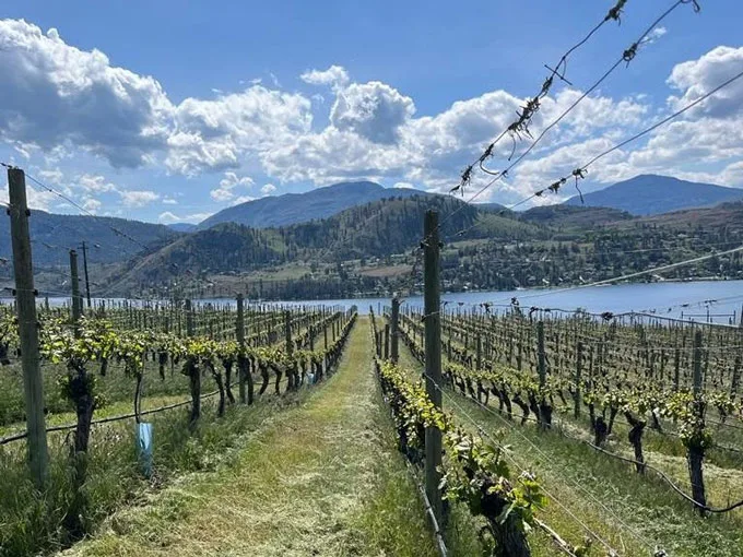 Blasted Church Vineyards Celebrates BC Wine Month
