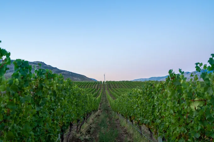 CheckMate Artisanal Winery Announces New Winemaker, Spencer Kelly