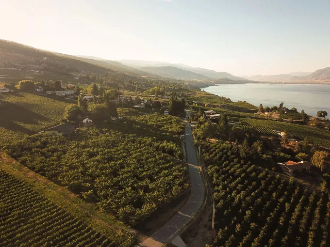 Introducing Naramata's 'Aikins Loop Wine & Spirits Cooperative'