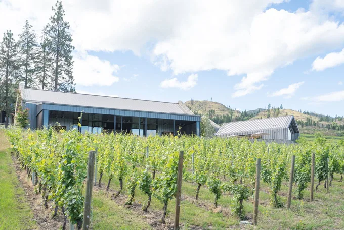 CedarCreek Estate Winery announces Sunset Groove Thursdays