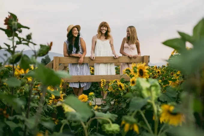 Inaugural Harrison Sunflower Festival Announced