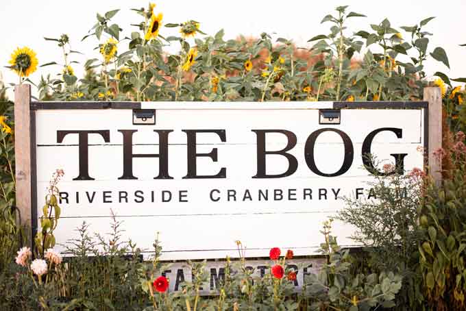 The BOG at Riverside Cranberry Farm Gears Up for Cranberry Season
