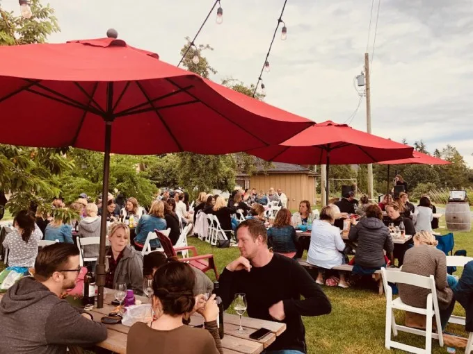 Singletree Winery: Unforgettable Events Await in Abbotsford's Enchanting Vineyard
