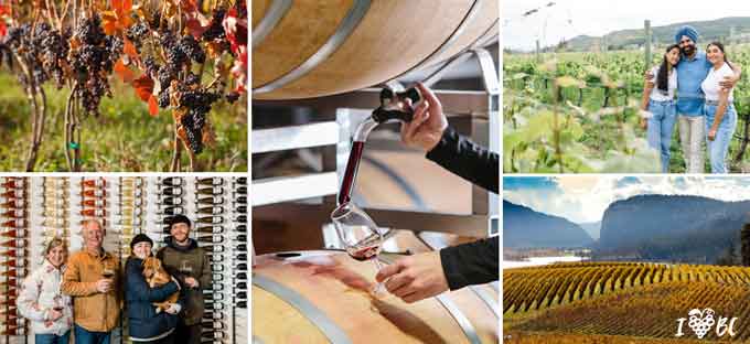 Wine Growers British Columbia Urges the Public to “Fall for BC Wine” This Season