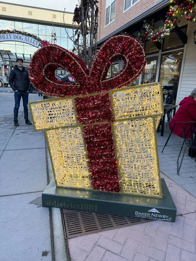 Christmas in District 1881: Visit Highlights