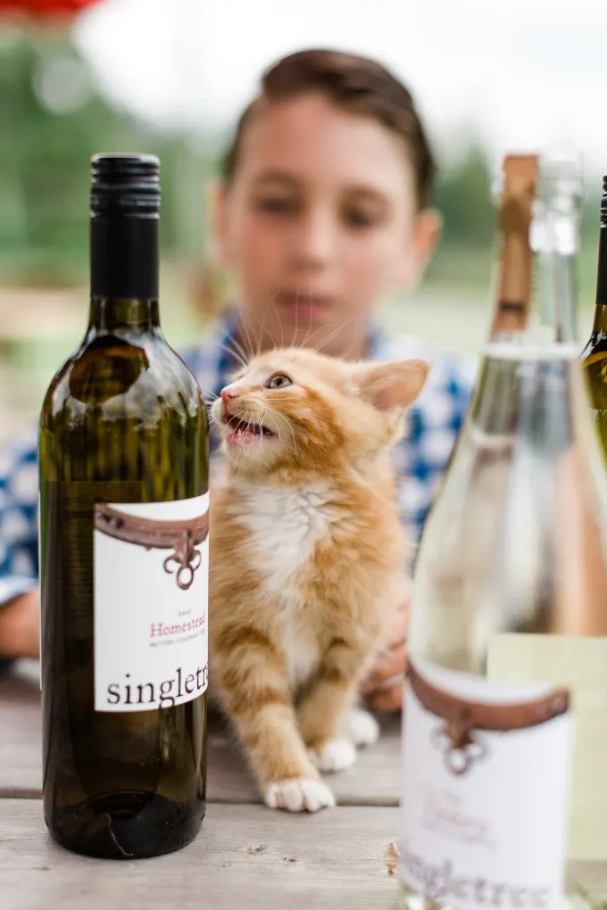 Di Vine Domes and *NEW* Wine Cabanas at Singletree Winery