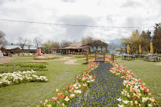 Greendale Acres Farm Kicks Off 2024 Calendar, Features Array Of Family Friendly Activities Throughout April, May