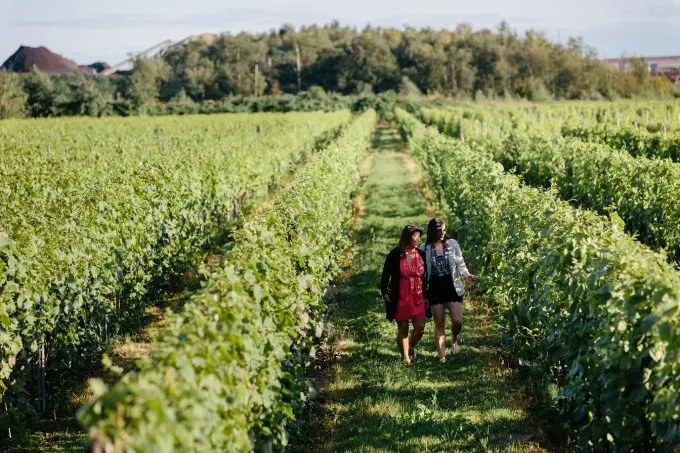 The Fraser Valley Wine Passport returns, now through June 30