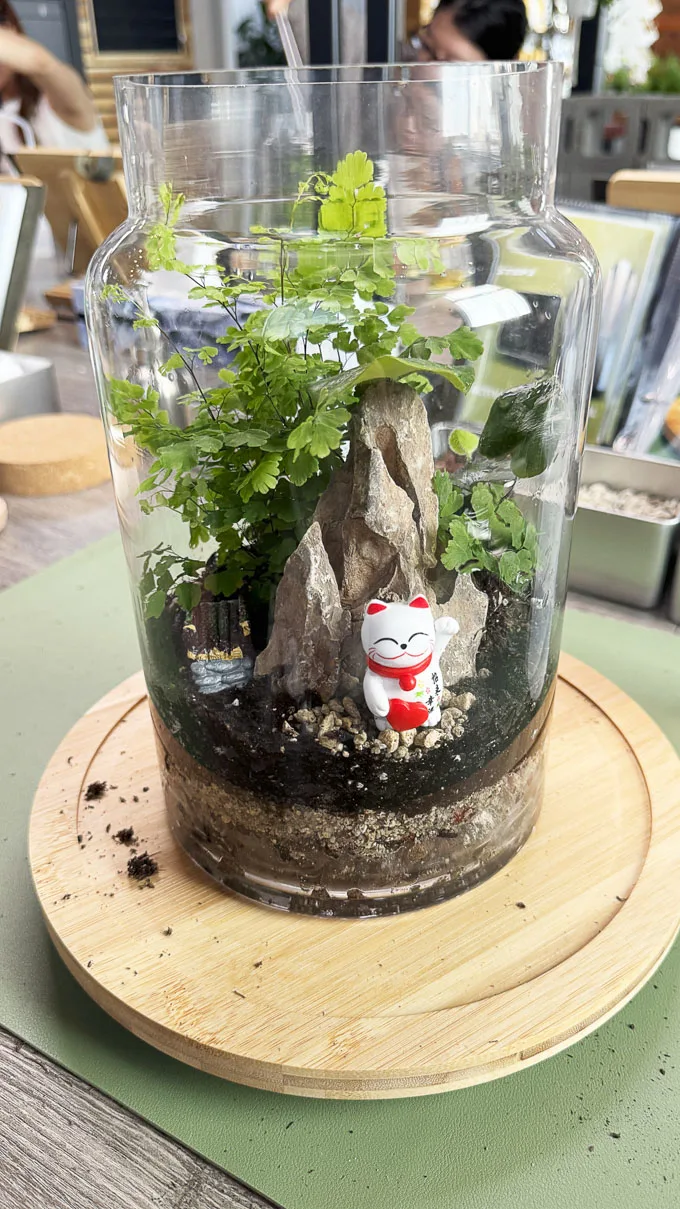 Oasis Terrarium Studio - NEW spot to learn to build a terranium