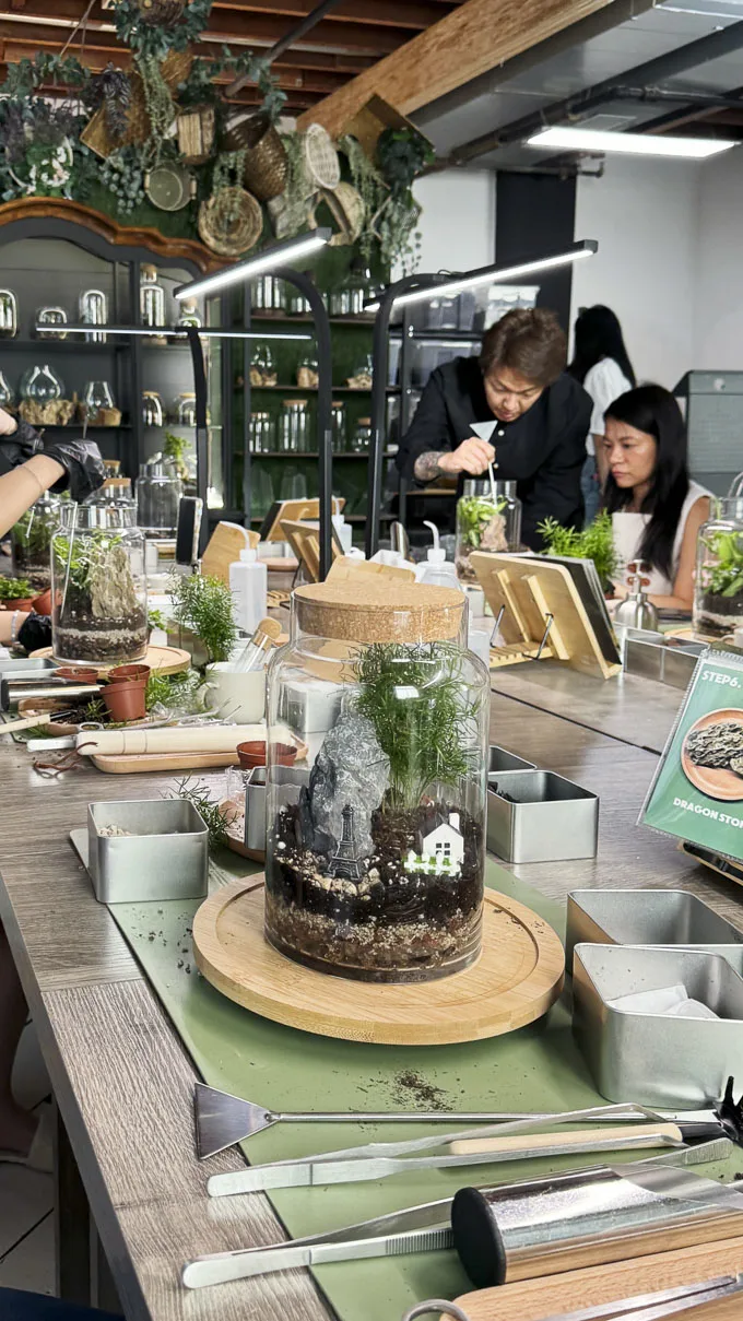 Oasis Terrarium Studio - NEW spot to learn to build a terranium