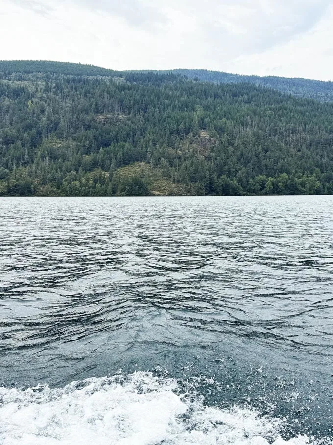 Cultus Lake Marina: Power Boat Rental Experience