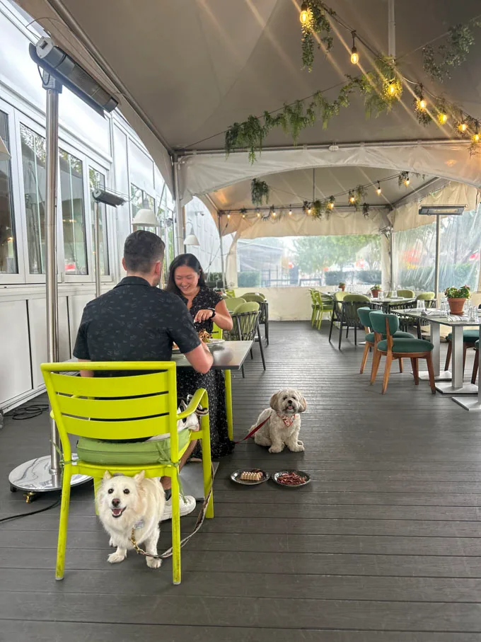 Honey Salt Hosts Dog-Friendly Speed Dating Event