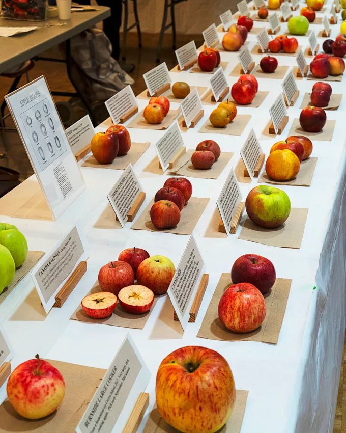 2025 UBC Botanical Garden Apple Festival Recap