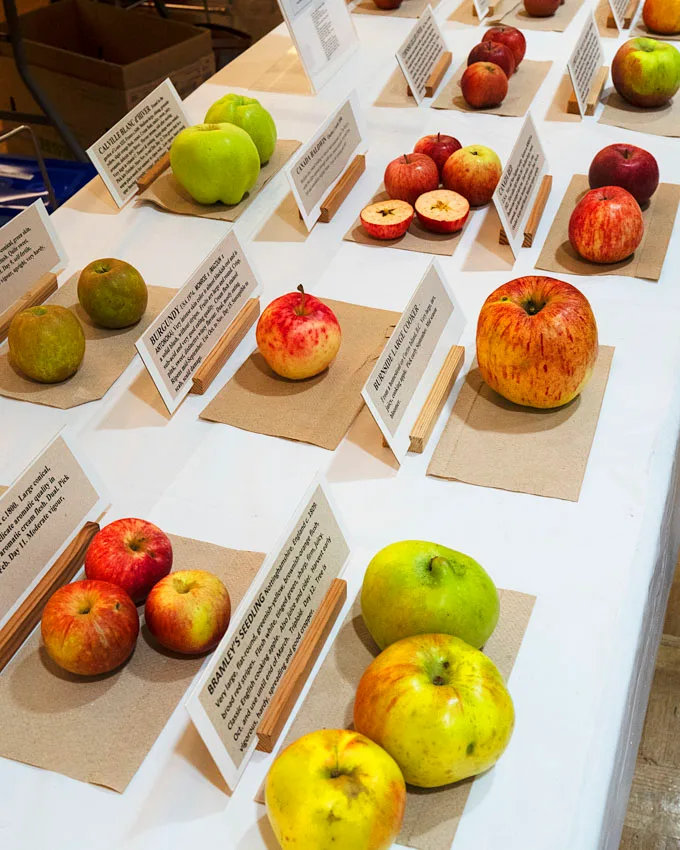 2025 UBC Botanical Garden Apple Festival Recap