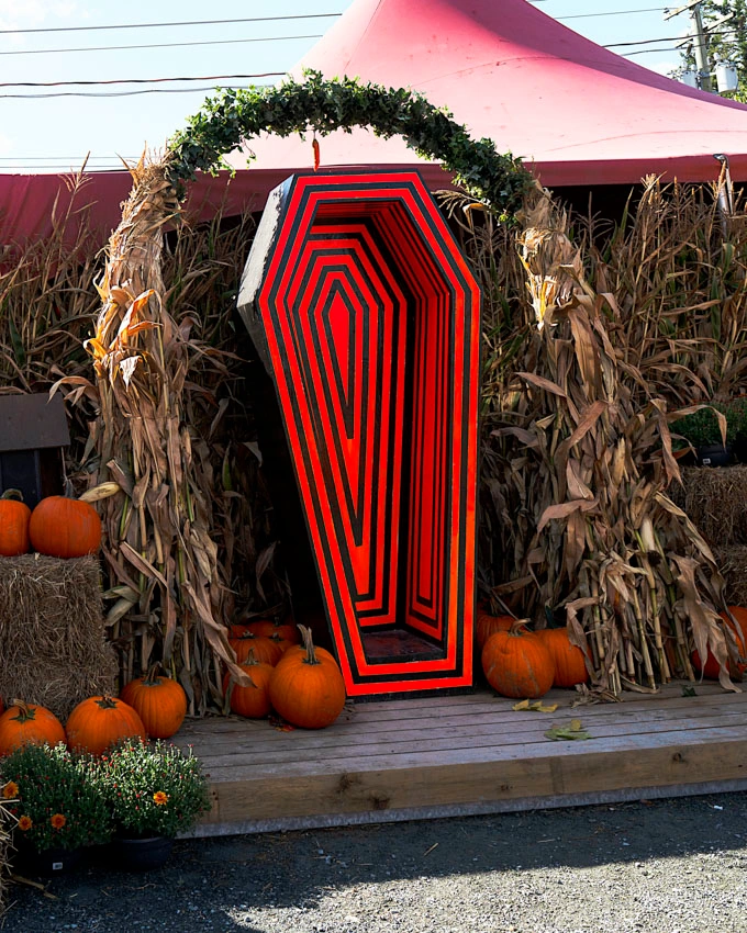 Fall Flavours and Farm Fun at Maan Farms in Abbotsford