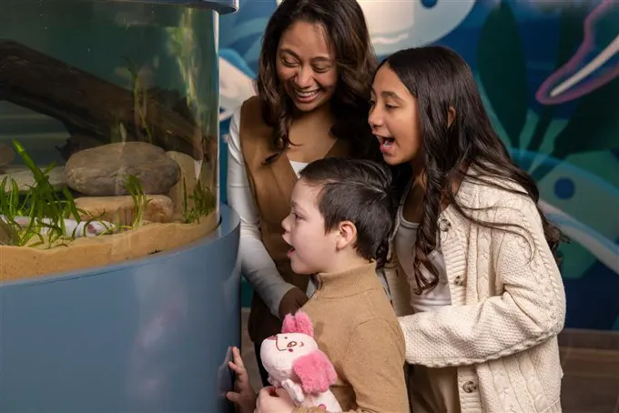Vancouver Aquarium Opens New Amazing Axolotls Exhibit