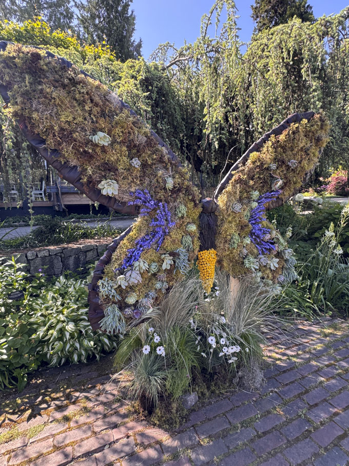 Fleurs de Villes WONDER Now Open at VanDusen