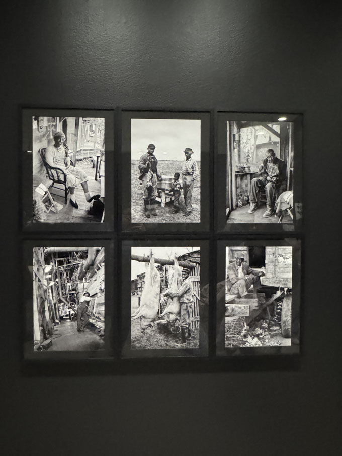 Free First Friday Nights at the Vancouver Art Gallery