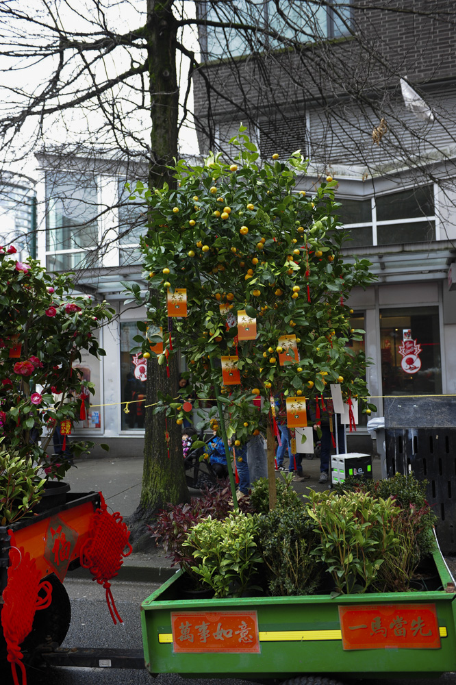 Vancouver Chinatown Lunar New Year Parade Highlights